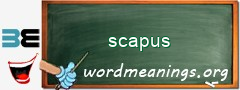 WordMeaning blackboard for scapus